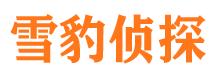 桐乡调查公司